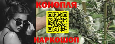 стаф Бугуруслан