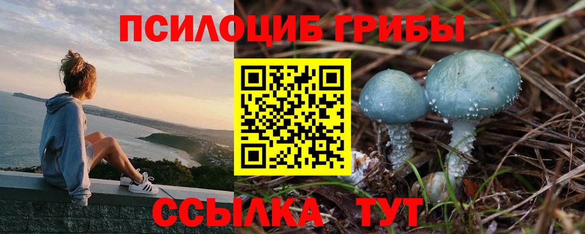 Псилоцибиновые грибы Magic Shrooms  Галлюциногенные грибы мицелий  Вход с VPN  Петропавловск-Камчатский 